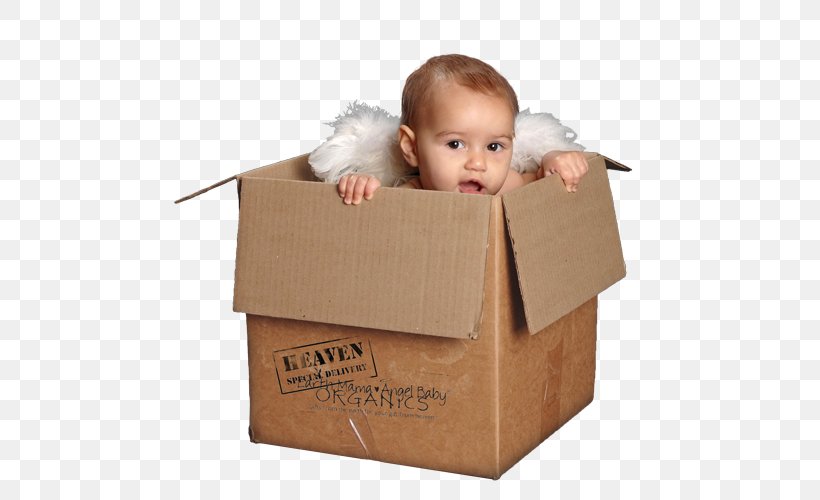 Cardboard Carton Toddler, PNG, 500x500px, Cardboard, Box, Carton, Child, Packaging And Labeling Download Free