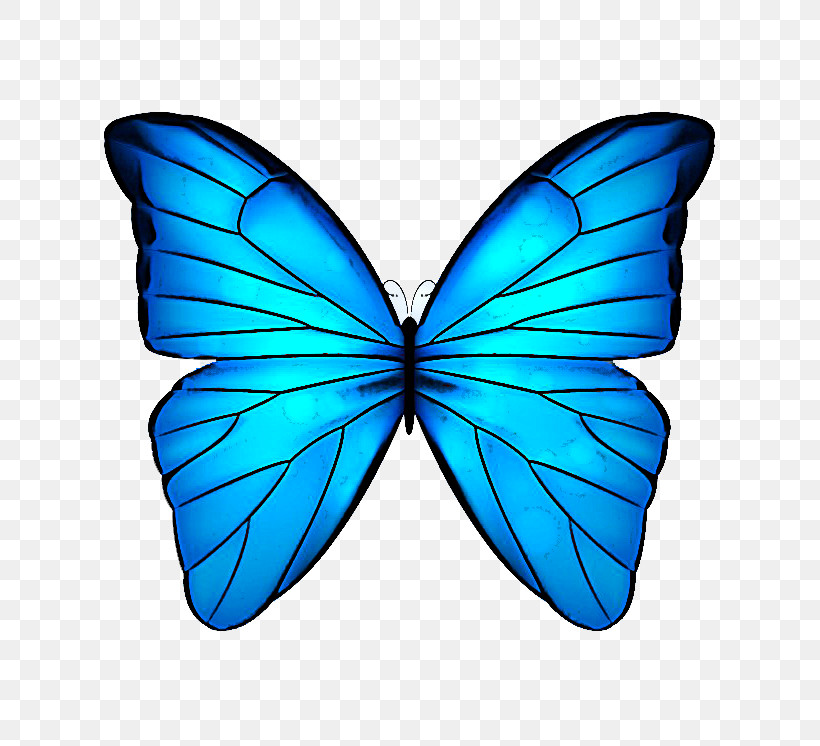 Monarch Butterfly, PNG, 756x746px, Butterflies, Blue Morpho, Drawing, Lepidoptera, Menelaus Blue Morpho Download Free