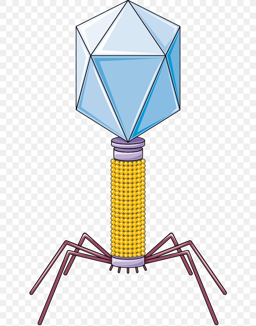 Bacteriophage Bacteria Servier Medical Virus, PNG, 636x1044px, Bacteriophage, Area, Bacteria, Drawing, Infectious Disease Download Free