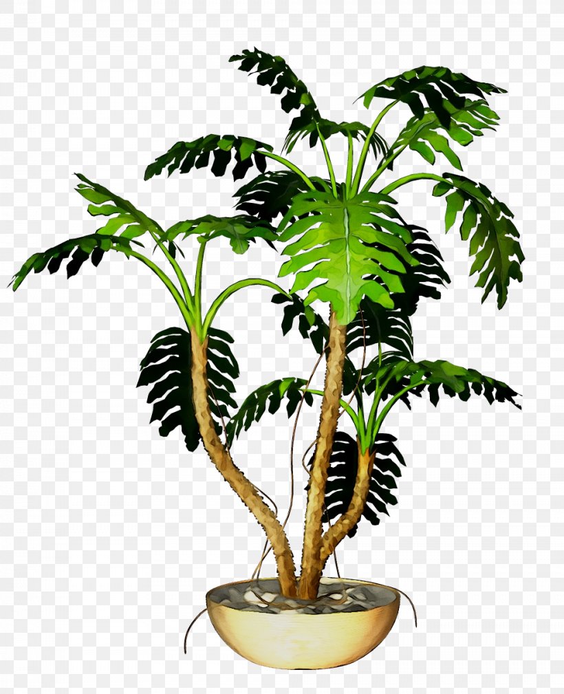 Flowerpot Tree Plants Leaf, PNG, 984x1211px, Flowerpot, Arecales, Bonsai, Botany, Coconut Download Free