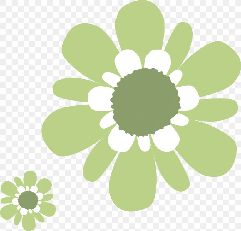 Green Flower White, PNG, 831x798px, Green, Bud, Chrysanths, Daisy Family, Flora Download Free