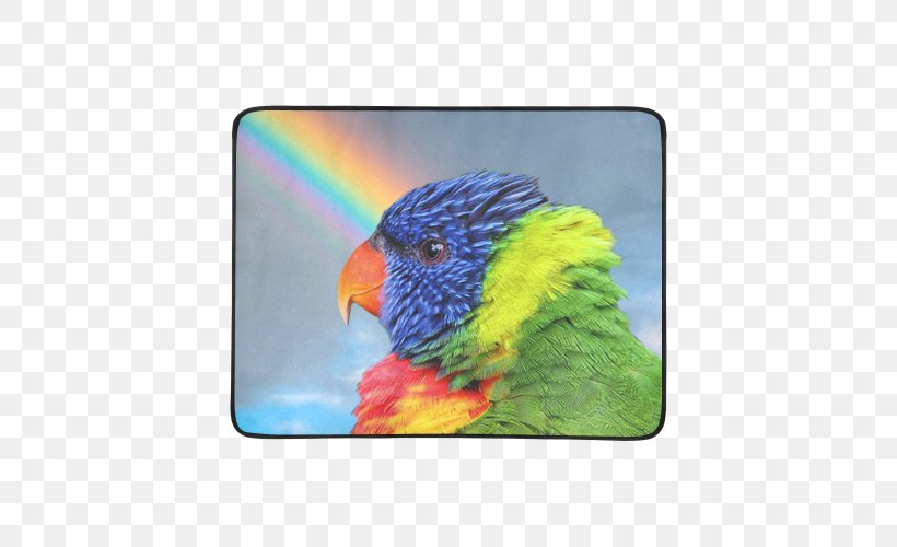 Loriini Budgerigar Cockatiel Macaw Rainbow Lorikeet, PNG, 500x500px, Loriini, Amazon Parrot, Beak, Bird, Blanket Download Free