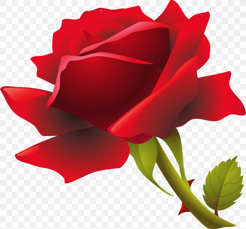 Rose Flower Clip Art, PNG, 1254x1169px, Rose, China Rose, Close Up, Cut ...