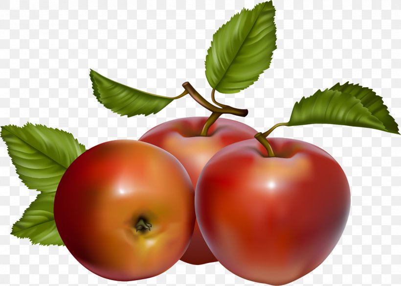 Apple Fruit Clip Art, PNG, 1500x1070px, Apple, Auglis, Berry, Bush Tomato, Cherry Download Free