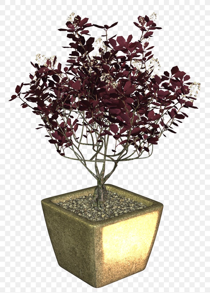 Flowerpot Bonsai Clip Art Plants, PNG, 798x1142px, Flowerpot, Bonsai, Branch, Flower, Flowering Plant Download Free