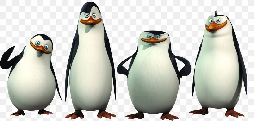 Penguin Madagascar Animation Clip Art, PNG, 1807x860px, Kowalski, Animation, Beak, Bird, Comedy Download Free