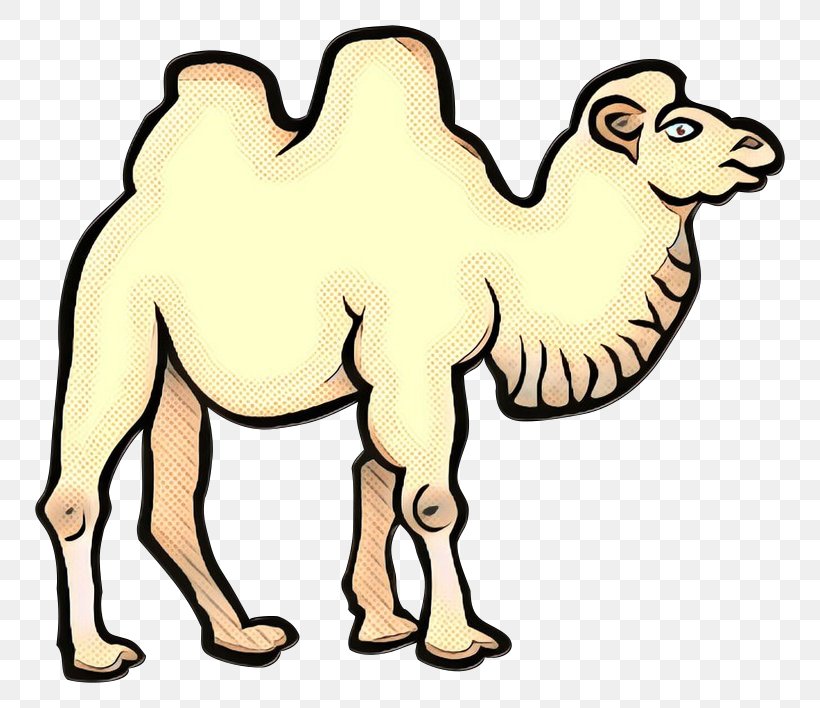 Bactrian Camel Dromedary Line Art Drawing Clip Art, PNG, 800x708px, Bactrian Camel, Animal Figure, Arabian Camel, Art, Camel Download Free