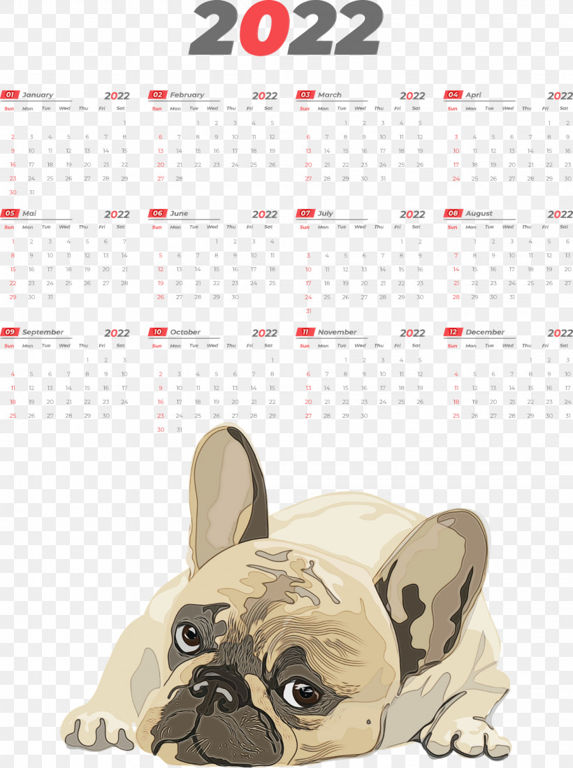 French Bulldog, PNG, 2237x3000px, Watercolor, American Pit Bull Terrier, Bark, Breed, Bulldog Download Free