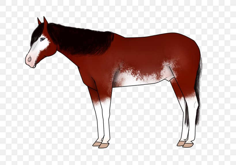 Mane Mustang Foal Colt Stallion, PNG, 711x574px, Mane, Bridle, Colt, Dog Harness, Foal Download Free