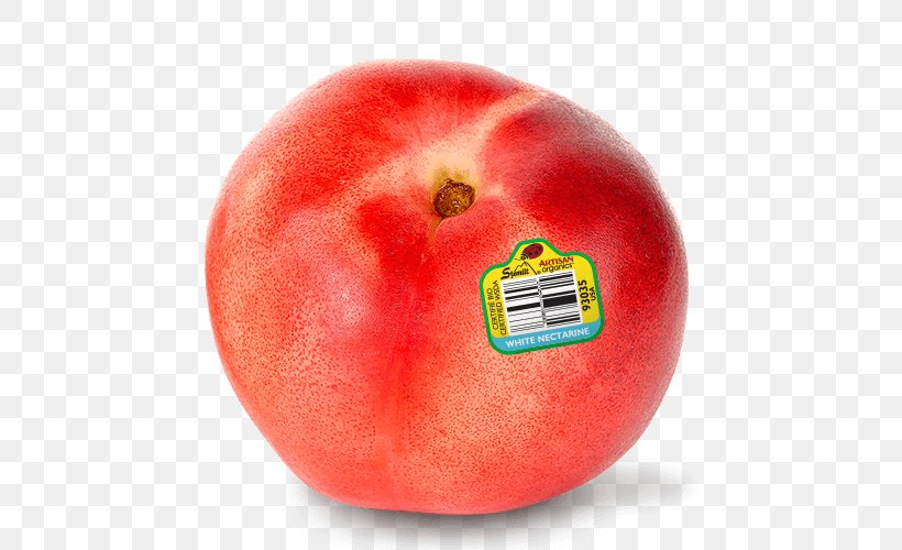 Peach Nectarine Armenian Plum Fruit Sangria, PNG, 500x500px, Peach, Apple, Apricot, Armenian Plum, Citrus Download Free
