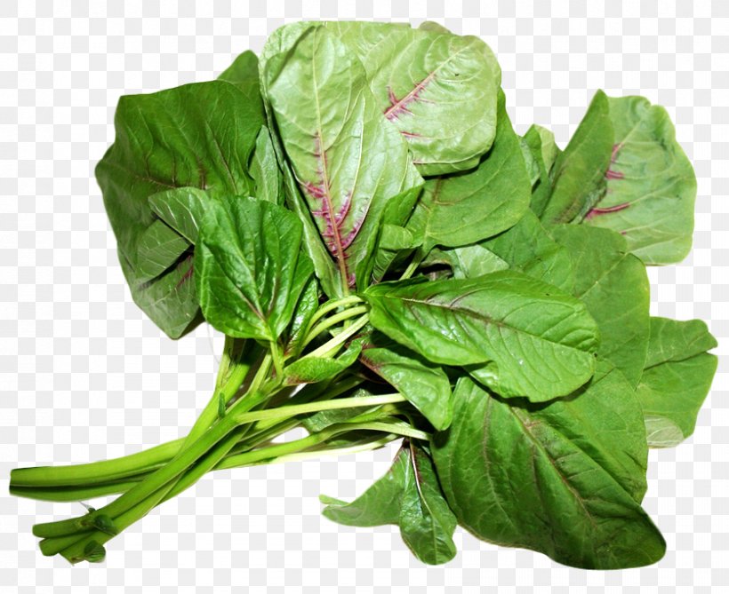 Spinach Amaranthus Viridis Amaranthus Dubius Love-Lies-Bleeding Chard, PNG, 836x683px, Amaranthus Dubius, Amaranth, Amaranthus Viridis, Beetroot, Bell Pepper Download Free