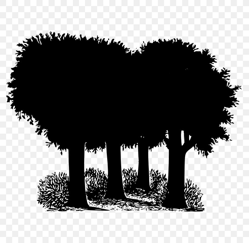 Tree Oak Forest Image Vector Graphics, PNG, 800x800px, Tree, Blackandwhite, Branch, Forest, Logo Download Free