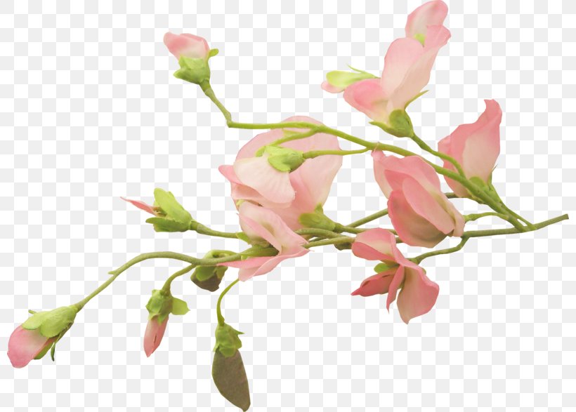 Cut Flowers Floral Design Bud Plant Stem, PNG, 800x587px, 2017, Flower, Bear, Bird, Blog Download Free