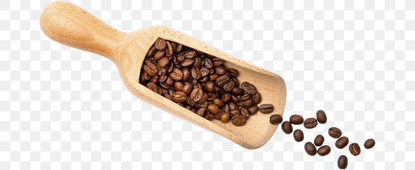 Jamaican Blue Mountain Coffee Cafe Café Au Lait Espresso, PNG, 665x337px, Coffee, Cafe, Cafe Au Lait, Cappuccino, Coffee Bean Download Free