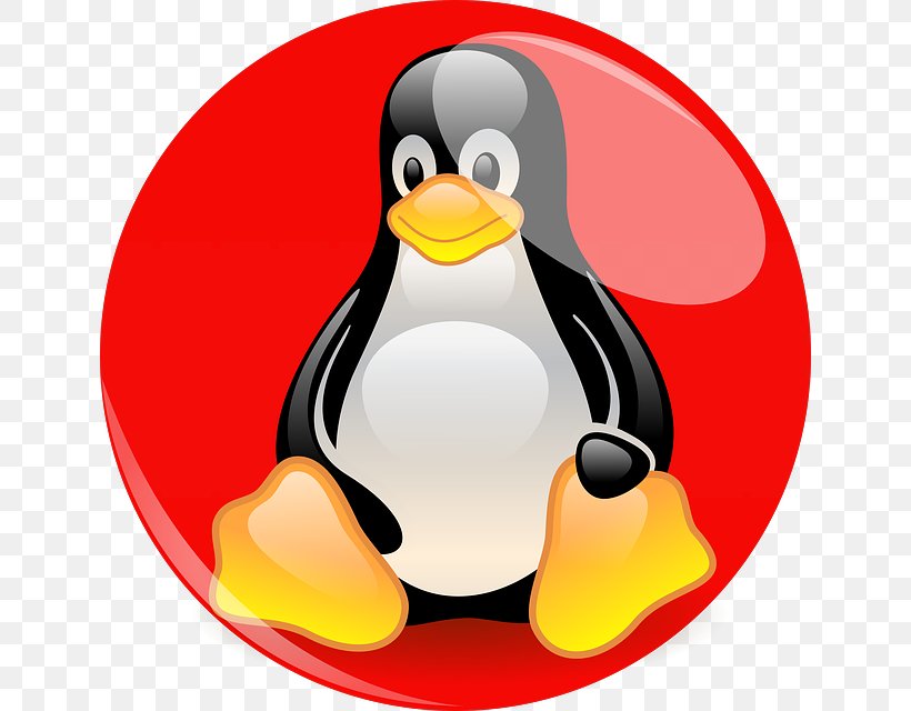 Linux Foundation Penguin Linux Kernel Linux Distribution, PNG, 640x640px, Linux, Beak, Bird, Debian, Flightless Bird Download Free