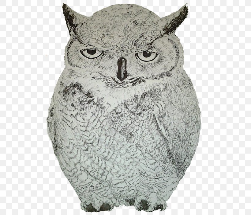 Owl Fauna Beak, PNG, 519x700px, Owl, Beak, Bird, Bird Of Prey, Fauna Download Free