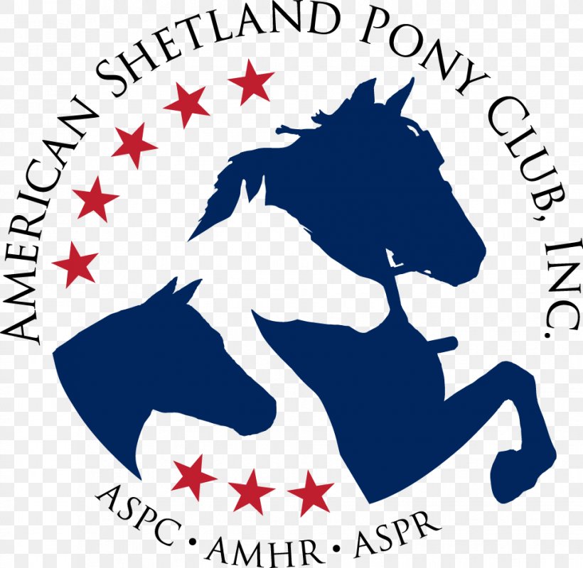 American Shetland Pony American Miniature Horse Pony Of The Americas, PNG, 968x945px, Shetland Pony, American Miniature Horse, Area, Artwork, Black And White Download Free