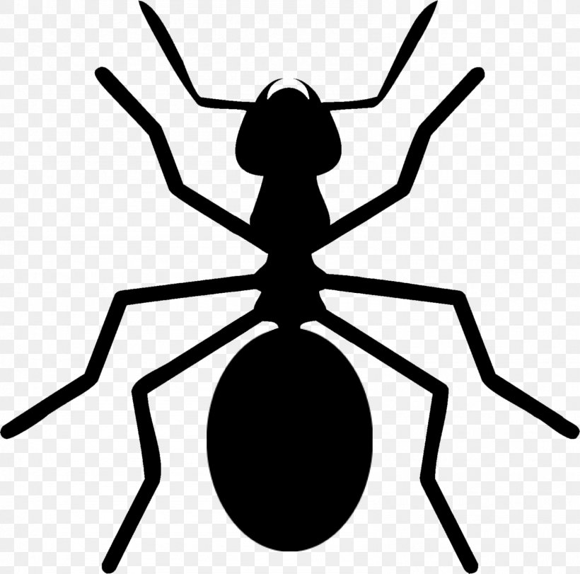 Ant Colony Insect Arthropod Clip Art, PNG, 1591x1575px, Ant, Animal, Ant Colony, Arthropod, Artwork Download Free