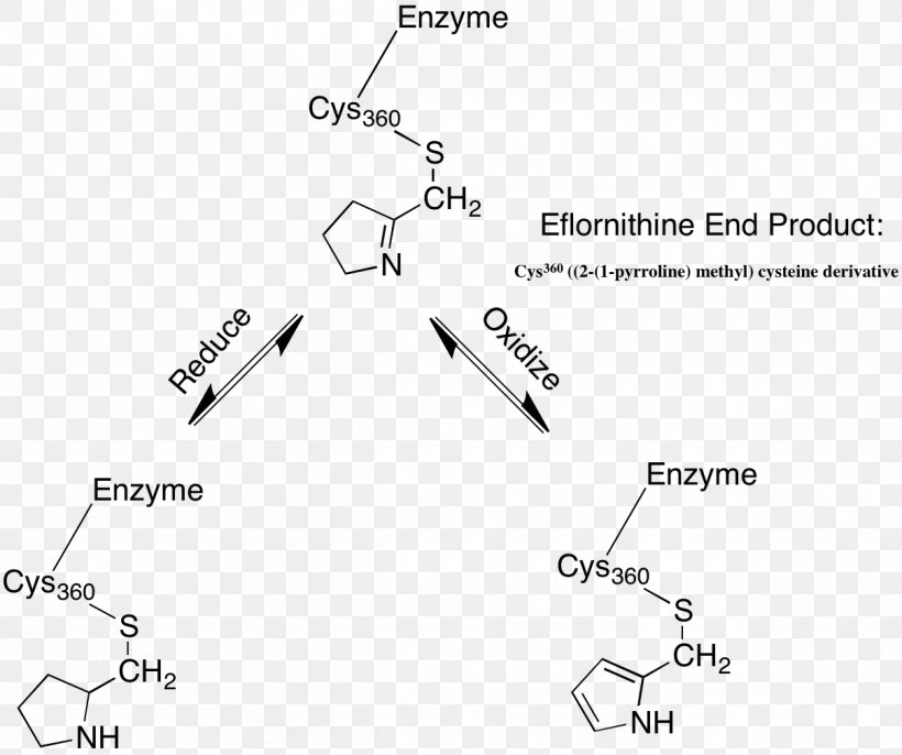 Eflornithine Metronidazole Oakland University William Beaumont School Of Medicine Antibiotics White, PNG, 1207x1011px, Eflornithine, Antibiotics, Area, Black And White, Brand Download Free