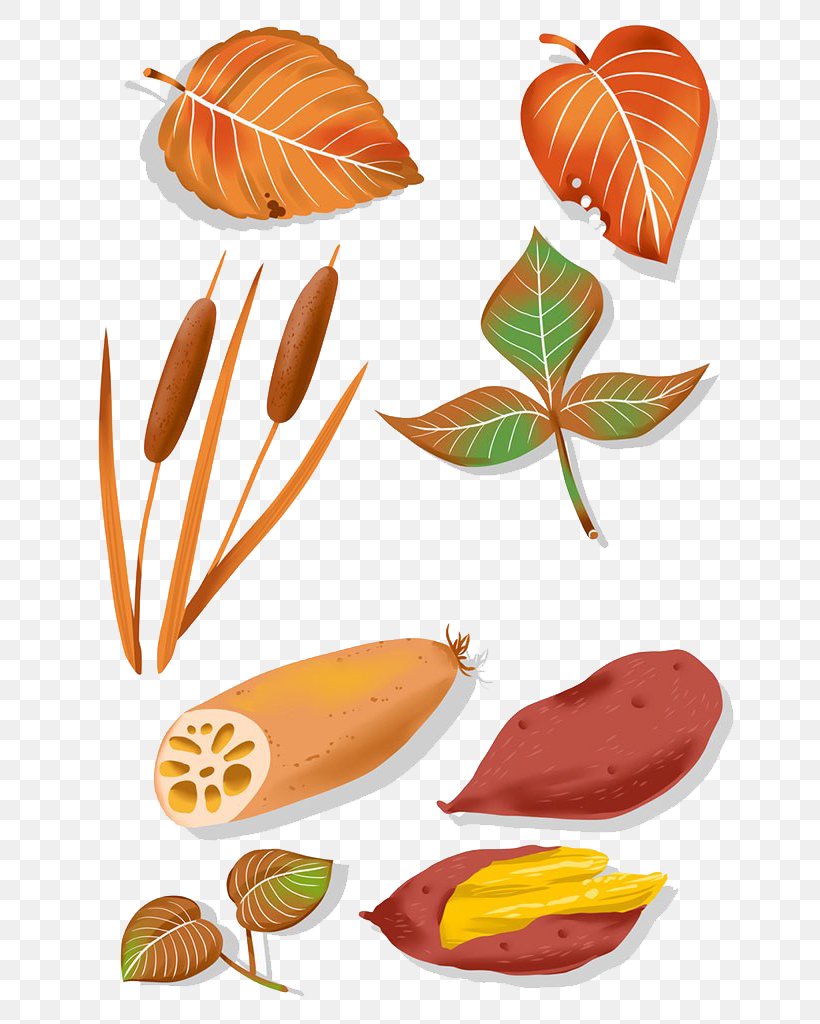 Leaf Drawing Illustration, PNG, 663x1024px, Leaf, Animation, Deciduous, Drawing, Flower Download Free
