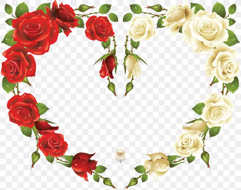 Rose Stock Photography Picture Frames Clip Art, PNG, 4367x3449px, Rose, Cut Flowers, Floral Design, Floristry, Flower Download Free