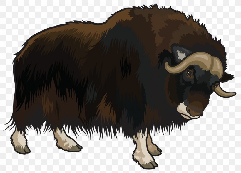 Domestic Yak Clip Art, PNG, 1331x954px, Domestic Yak, African Buffalo, African Forest Buffalo, American Bison, Bison Download Free