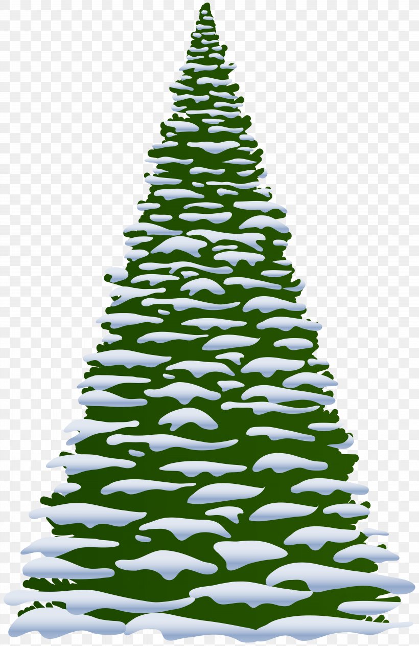 Pine Fir Clip Art, PNG, 5190x8000px, Pine, Christmas, Christmas Decoration, Christmas Ornament, Christmas Tree Download Free