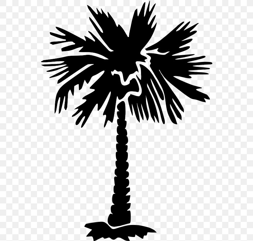 Sabal Palm Arecaceae Tree Clip Art, PNG, 556x782px, Sabal Palm, Arecaceae, Arecales, Artwork, Black And White Download Free