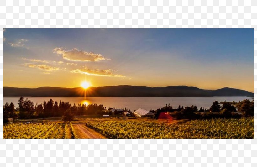 Summerhill Pyramid Winery Okanagan Lake Sunset Organic Bistro Mission Hill Winery, PNG, 800x533px, Okanagan Lake, British Columbia, Canada, Cloud, Dawn Download Free