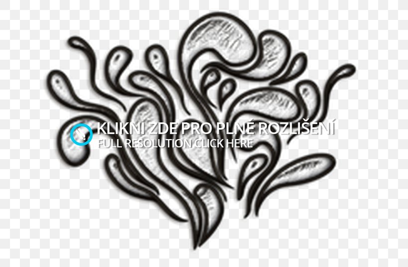 /m/02csf Visual Arts Drawing Ornament Pattern, PNG, 671x537px, Visual Arts, Art, Black And White, Blog, Drawing Download Free