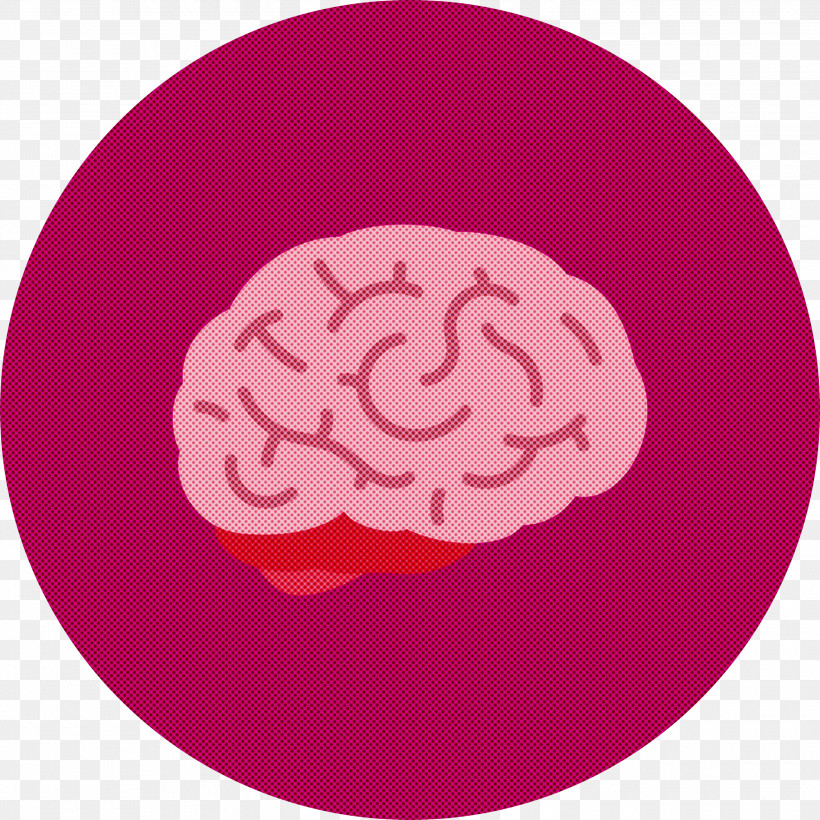 Brain, PNG, 3000x3000px,  Download Free