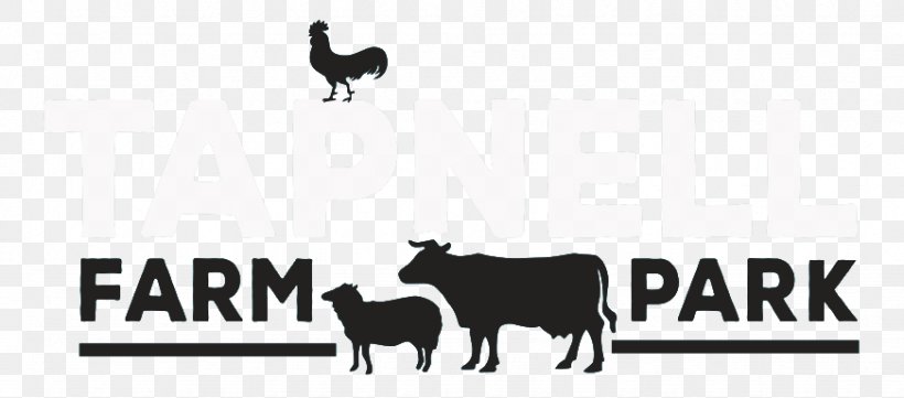 Cattle Tapnell Farm Park Sheep Goat Logo, PNG, 872x384px, Cattle, Black And White, Brand, Cattle Like Mammal, Dairy Download Free