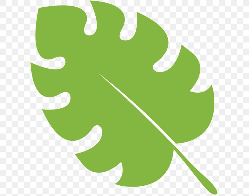 Clip Art Leaf Line Tree H&M, PNG, 631x646px, Leaf, Green, Plant, Tree Download Free