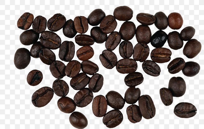 Coffee Bean Instant Coffee Single-origin Coffee, PNG, 800x519px, Coffee, Cocoa Bean, Coffea, Coffee Bean, Commodity Download Free