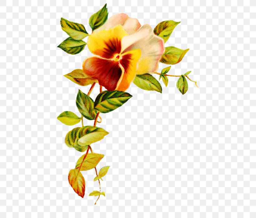 Floral Wedding Invitation Background, PNG, 480x699px, Wedding Invitation, Birthday, Botany, Bouquet, Bride Download Free