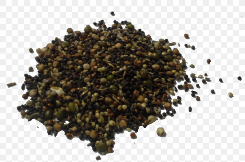 Seed Germination Silicon Silane Powder, PNG, 962x640px, Seed, Bean, Germination, Ingredient, Powder Download Free