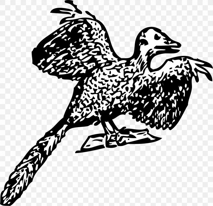 Archaeopteryx Bird Dinosaur Fossil Anchiornis, PNG, 2400x2320px, Archaeopteryx, Anchiornis, Art, Beak, Bird Download Free