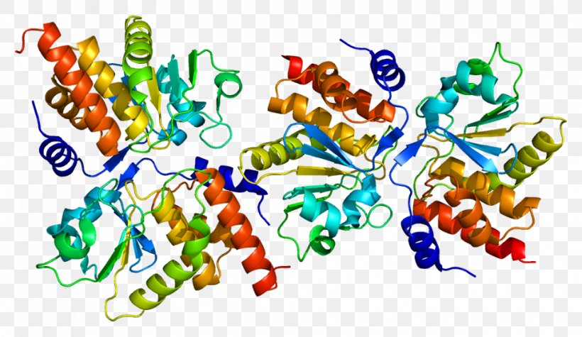 DUSP13 Protein Tyrosine Phosphatase Gene Dual-specificity Phosphatase, PNG, 966x560px, Watercolor, Cartoon, Flower, Frame, Heart Download Free