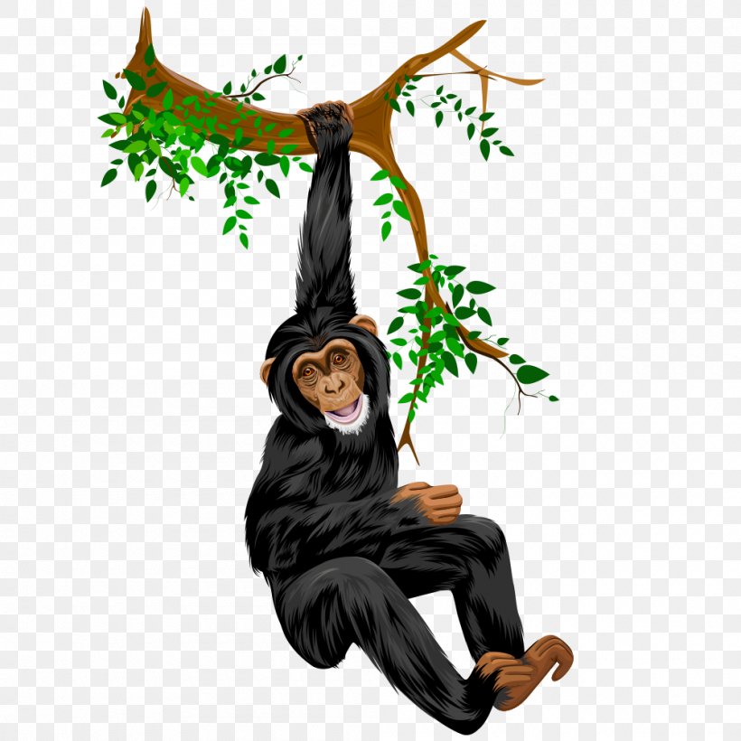 Orangutan Drawing Comics, PNG, 1000x1000px, Orangutan, Animal, Caricature, Cartoon, Comics Download Free