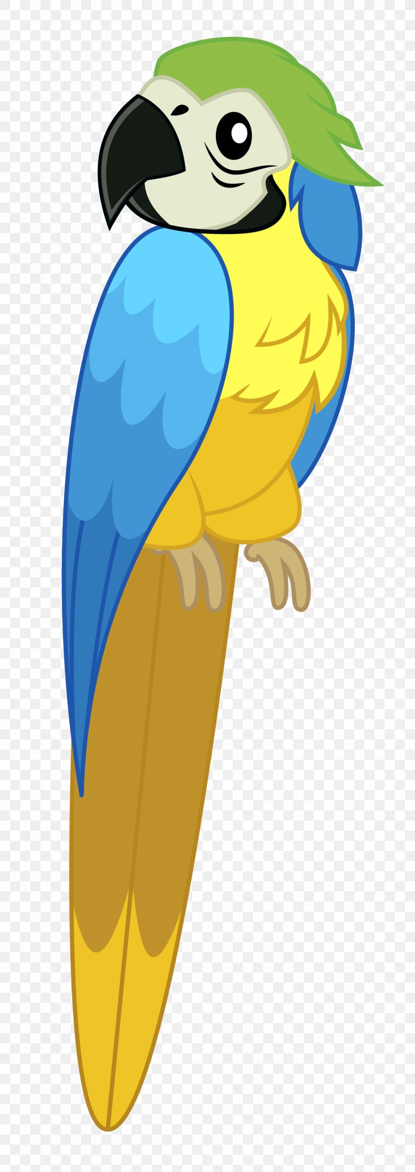 Bird Parrot, PNG, 1451x4096px, Macaw, Beak, Bird, Budgie, Cartoon Download Free