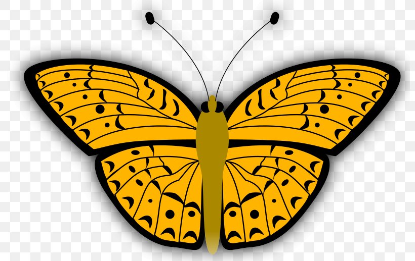 Insect Brush-footed Butterflies Monarch Butterfly Clip Art Vector Graphics, PNG, 800x517px, Insect, Brushfooted Butterflies, Brushfooted Butterfly, Butterflies, Butterfly Download Free