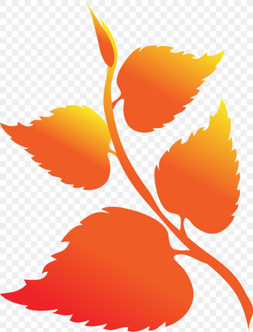 Maple Leaf Autumn Gold, PNG, 1111x1454px, Leaf, Art, Autumn, Autumn Leaf Color, Deciduous Download Free