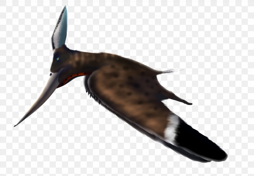 Pteranodon Pterosaurs Beak Wing Fauna, PNG, 3250x2250px, Pteranodon, Beak, Bird, Fauna, Feather Download Free