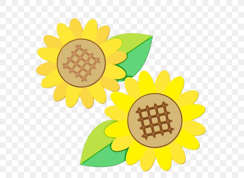 Summer Flower Background, PNG, 600x600px, Sunflower, Cut Flowers, Daisy Family, Flower, Fruit Download Free