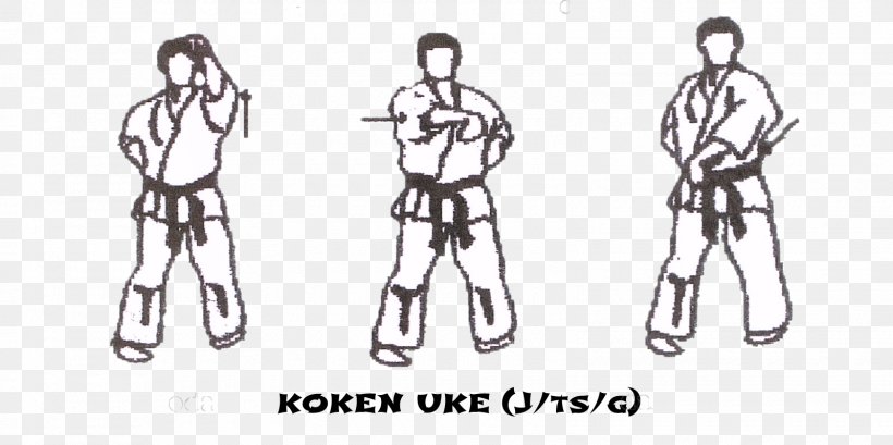Taikyoku Kyokushin Pinan Kata Tsuki, PNG, 1600x800px, Kyokushin, Black And White, Clothing Accessories, Endurance, Fashion Download Free