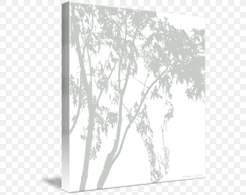 Twig Leaf Line White Flower, PNG, 564x650px, Twig, Black And White, Branch, Flower, Leaf Download Free