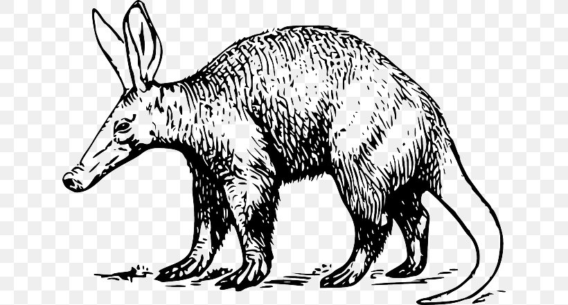 Aardvark Clip Art Openclipart Anteater Vertebrate, PNG, 640x441px, Aardvark, Anteater, Armadillo, Bear, Black And White Download Free