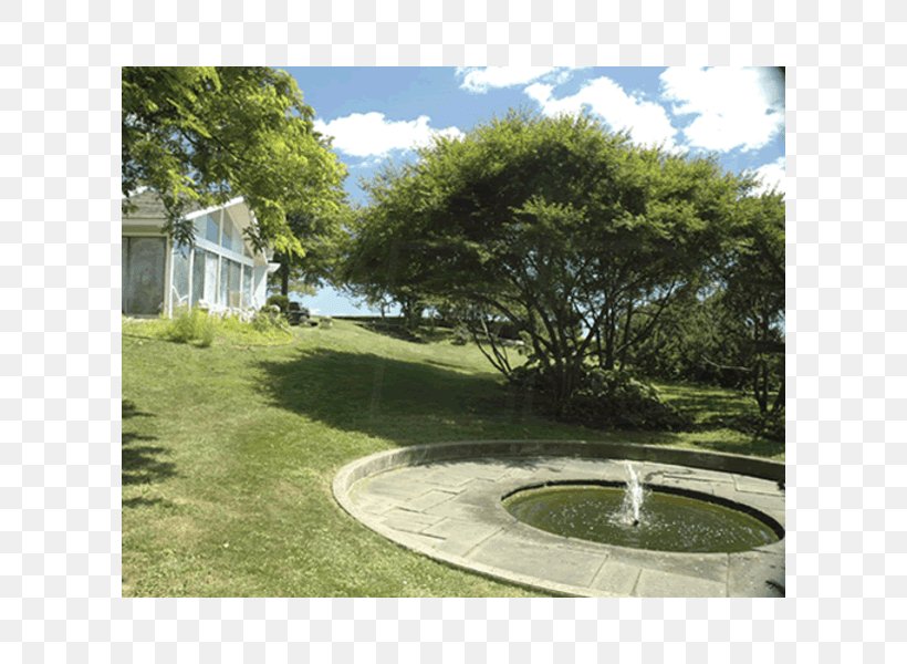 Backyard Water Resources Property Lawn Water Feature, PNG, 600x600px, Backyard, Estate, Garden, Grass, Hacienda Download Free