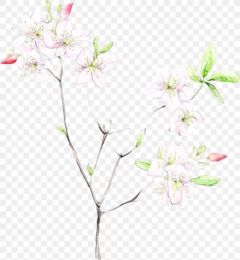 Cherry Blossom, PNG, 937x1012px, Flower, Blossom, Branch, Cherry Blossom, Cut Flowers Download Free