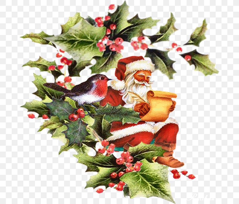 Christmas Ornament Santa Claus Christmas Day New Year Christmas Tree, PNG, 688x700px, Christmas Ornament, Aquifoliaceae, Aquifoliales, Christmas, Christmas Card Download Free